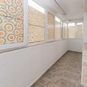 IMG_3269 IMG_3269
